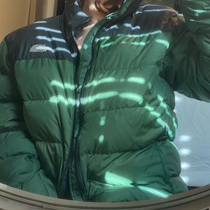 Retro North Face 700 puffer